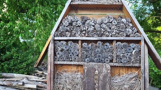Large wooden insect hotel filled with pine cones, hollow stems, drilled logs, providing nesting habitat for wild bees, beneficial insects. Eco-friendly biodiversity conservation, wildlife protection