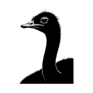 ostrich head vector silhouette
