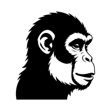 Vector silhouette of a monkey's head