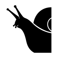 Snail vector silhouette © Menhikki