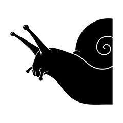 Snail vector silhouette © Menhikki
