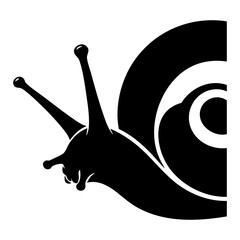Snail vector silhouette © Menhikki