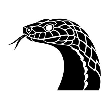 Vector silhouette of a snake's head