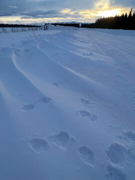 Snow bank in Alaska