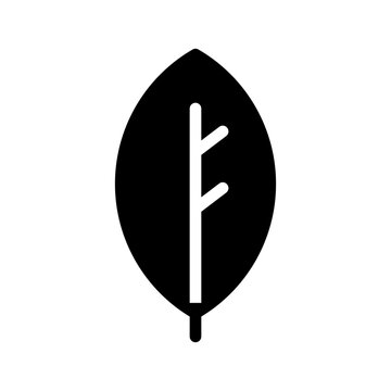Leaf Icon Vector Symbol Design Illustration