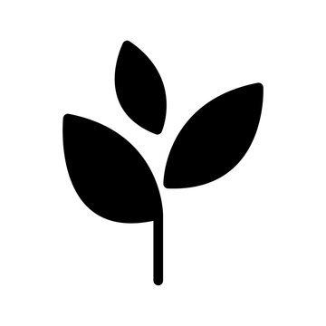 Leaf Icon Vector Symbol Design Illustration
