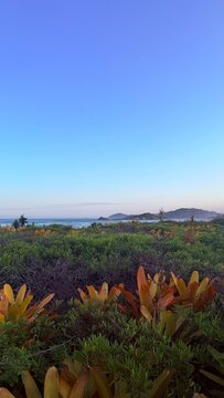 Naturaleza en la costa del mar