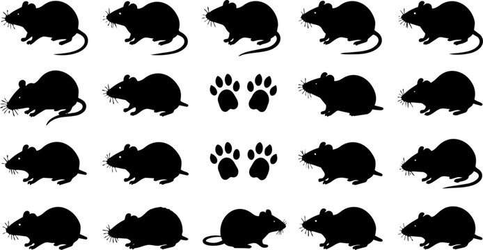 Black rat silhouettes and paw prints collection, set of 18 rodent vector icons, minimalist pest control and wildlife animal graphics