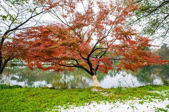 Winter Snow Scenery of Huagang Guanyu, Hangzhou, Zhejiang, China