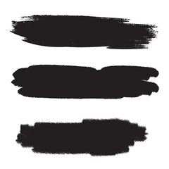 Fototapeta premium brush art vector art on white background.