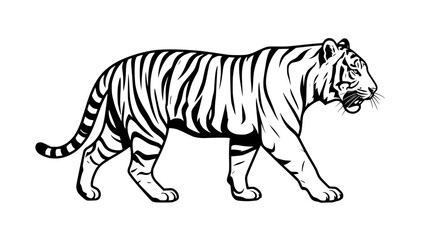 Fototapeta premium Majestic Tiger Walking Silhouette, Black and White Line Art, Wild Animal Illustration