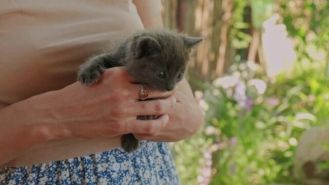 Person holding kitten holding kitten gently, in outdoor garden with greenery and flowers, nearby objects.