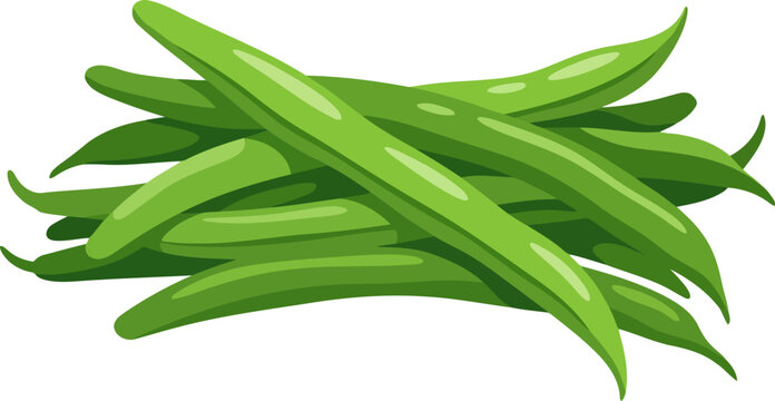Fresh green beans isolated on white background