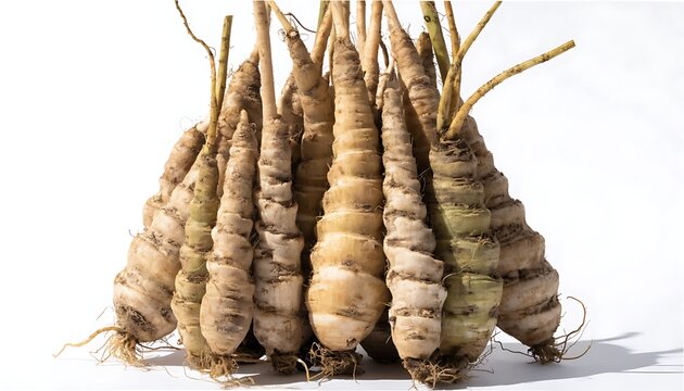 Bunch of fresh organic raw salsify roots cut out White background with shadow. 8K resolution. AI Generated.