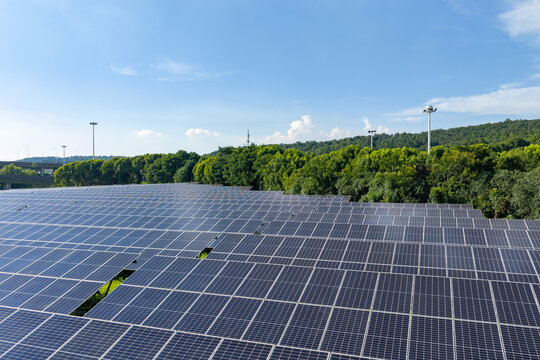 Solar panels and forest in sunny weather