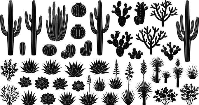 Collection of black desert plant silhouettes including cactus succulent aloe and agave vector illustrations