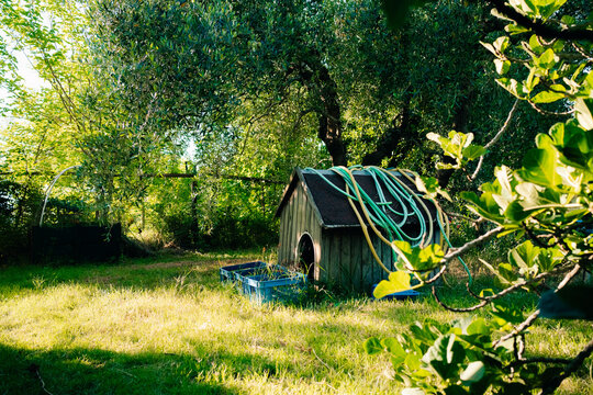 Old Wooden Dog House in a Green Garden During Sunny Day
