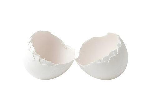 Two broken white egg shell halves separated isolated on transparent background