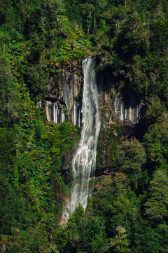 Waterfall in Dense Forest