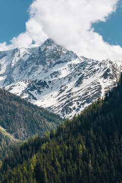 Peak Above the Treeline, Untouched