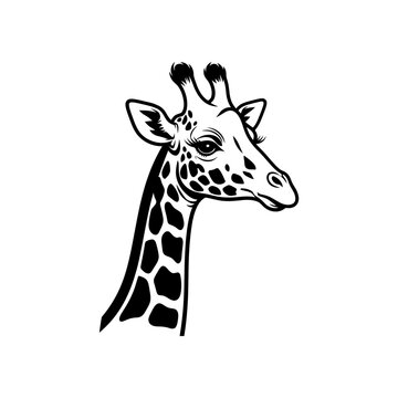 Stylized giraffe head portrait vector illustration isolated on white