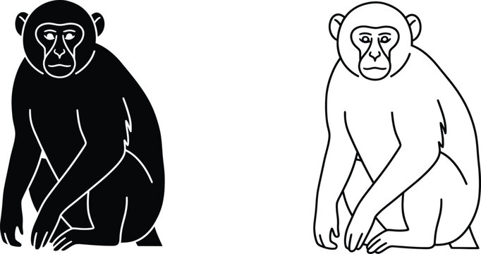 Monkeys Sitting in Vector Illustration Style Featuring Graphic, Design, Isolated with Flat