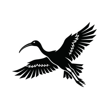 Black flying ibis bird silhouette vector illustration isolated on white background