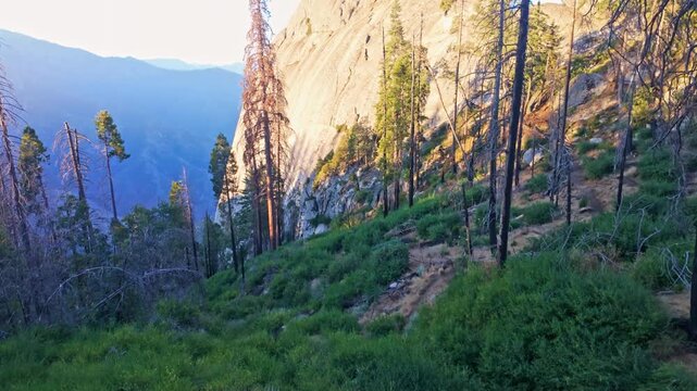 Golden sunrise light illuminates the granite dome of Moro Rock in Sequoia National Park