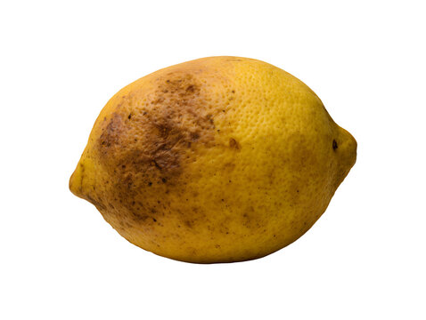 Spoiled rotten lemon with brown spots isolated on transparent or white background, png