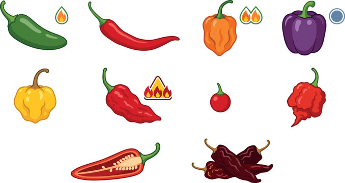 Hot Chili Peppers Vector Icon Set with Jalapeno, Habanero, Ghost Pepper, Bell Pepper, and Spicy Heat Level Indicators for Restaurant Menus