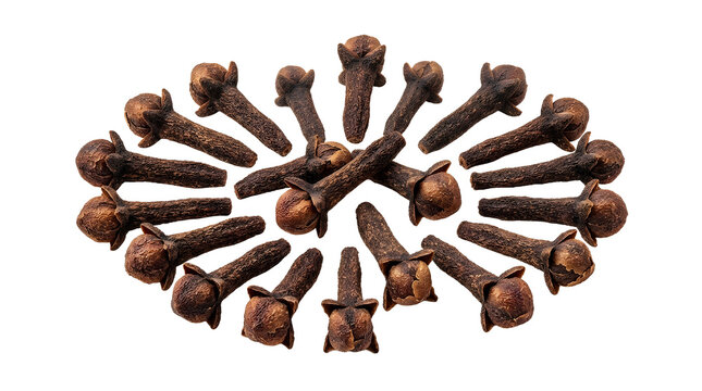 Dried clove spice buds arranged in a circle