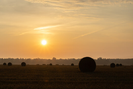 Golden sunrise over harvested wheat field with round hay bales