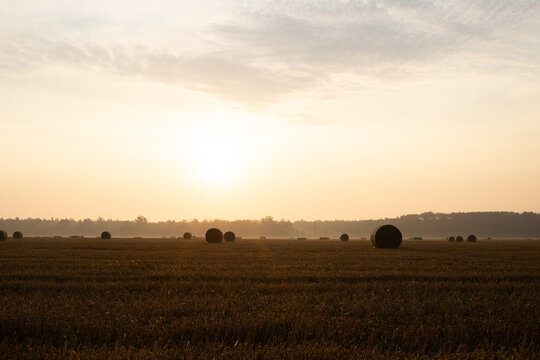 Golden sunrise over harvested wheat field with round hay bales