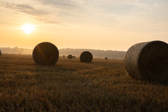 Golden sunrise over harvested wheat field with round hay bales