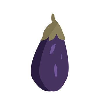 fresh dark  purple eggplant isolated on transparent background.