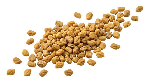 Pile of dry fenugreek seeds for cooking and spices