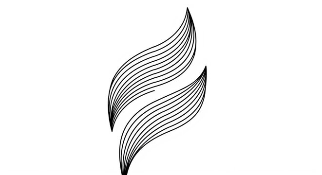 Abstract black line art feather design with flowing curves isolated transparent background