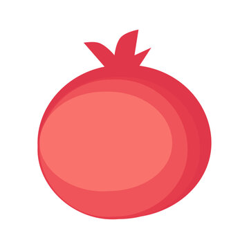 pomegranate illustration isolated on transparent background.