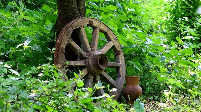An old wooden wagon wheel is presented amongst lush greenery and a rustic setting. The video evokes a sense of history and nostalgia.