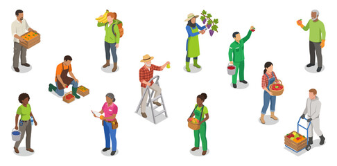 Fototapeta premium Fruit harvest workers vector set picking organic produce and carrying crates | Isometric flat illustration graphics