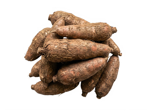 Pile of fresh cassava roots yuca manioc isolated on transparent background studio lighting high resolution food photography
