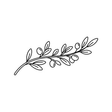 Olive Branch Line Icon,Minimal Olive Branch Line Art Vector | Peace Symbol Botanical Outline Illustration