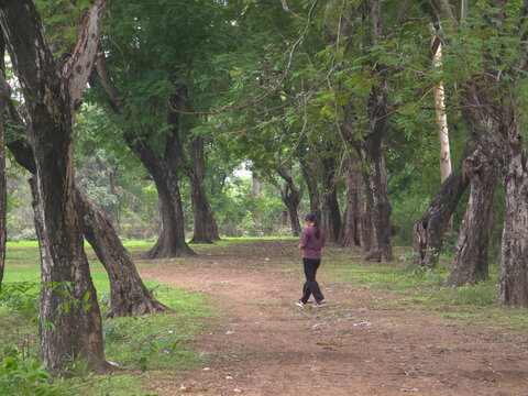 Solitary Figure Walking Through Tranquil Woodland