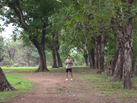Solitary Figure in Tranquil Forest Setting