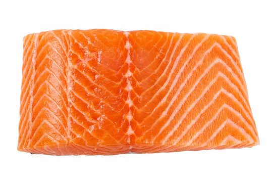 Raw Fresh Salmon Fillet with Marbling