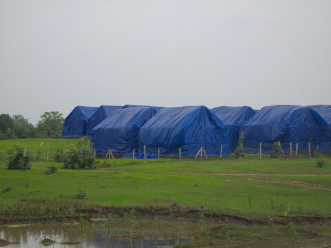 Blue Tarpaulin Covered Agricultural Storage in Rural Farmland