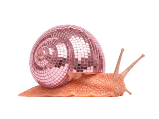 Surreal snail with a shiny pink disco ball shell © Laura