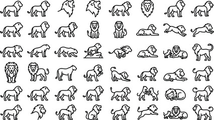 Fototapeta premium Outline Lion and Wild Safari Animal Line Icon Set with Roaring, Walking, Running, and Standing Predator Symbols for Branding, Logos, and Graphic Designs
