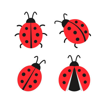 Set of cute red ladybug beetle in different poses