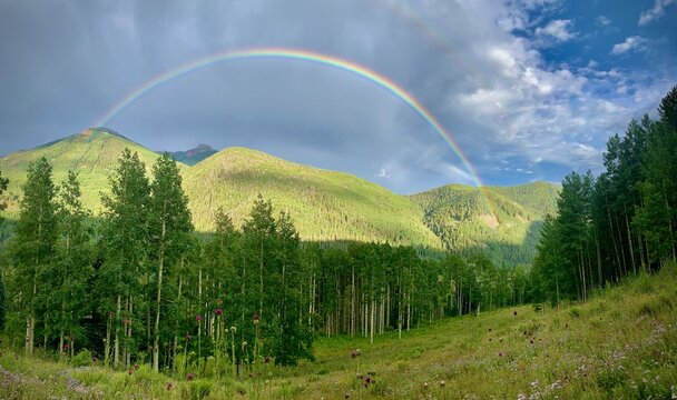 Double rainbow over an aspen forest wildflower meadow